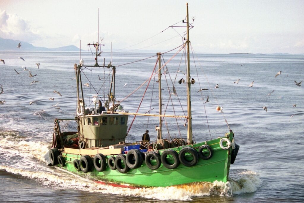Green fishing boat navigating through open sea with seagulls flying overhead and distant mountains visible in background, illustrating marine life and coastal fishing activities.