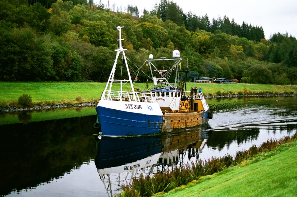 A large blue and white fishing boat anchored in calm waters, showcasing its vibrant colors against the serene backdrop.