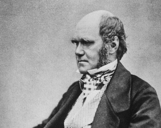 Portrait of Charles Darwin, seated