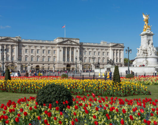 buckingham_palace_from_gardens_london.jpg
