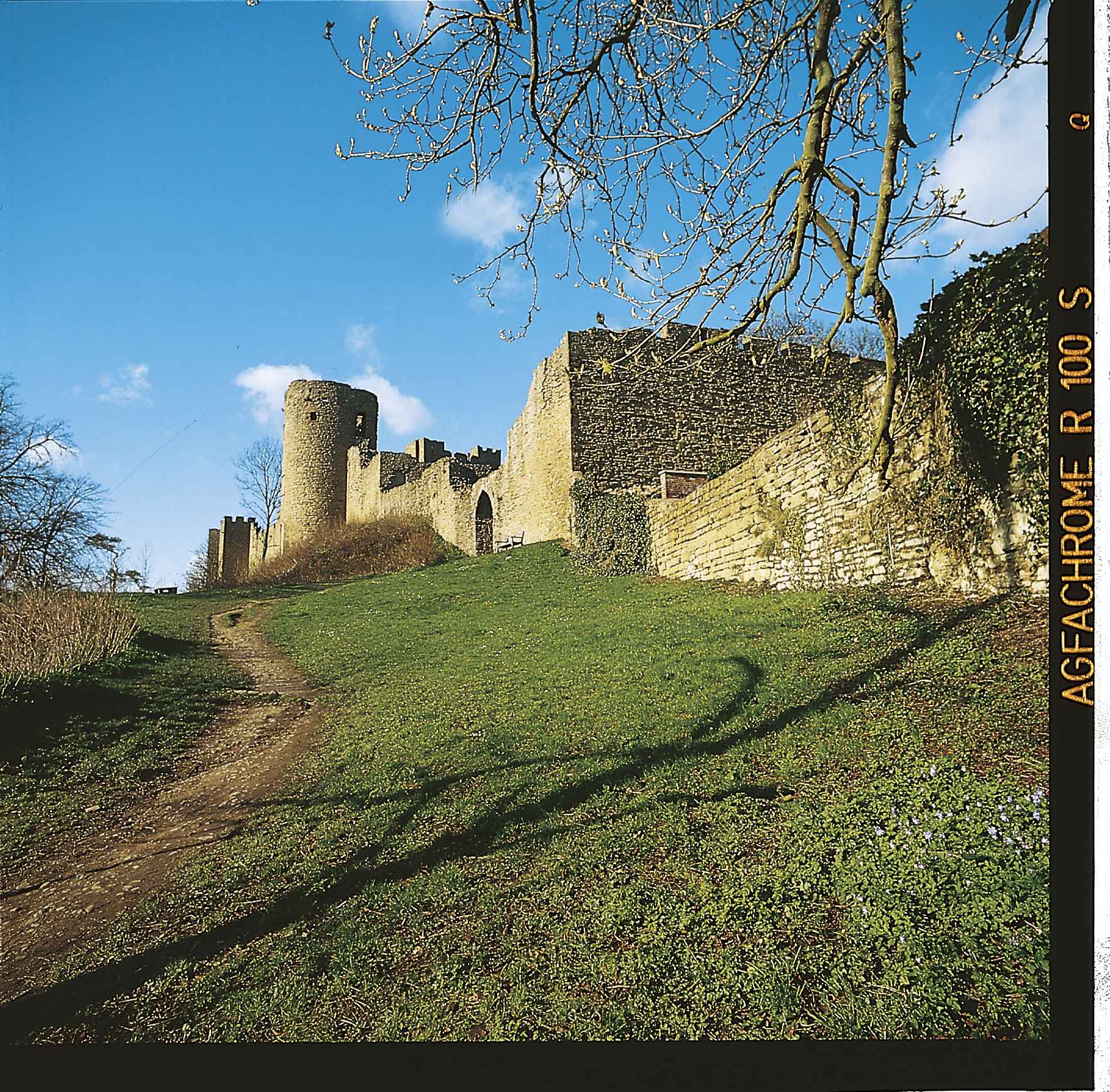 Ludlow Castle in Shropshire