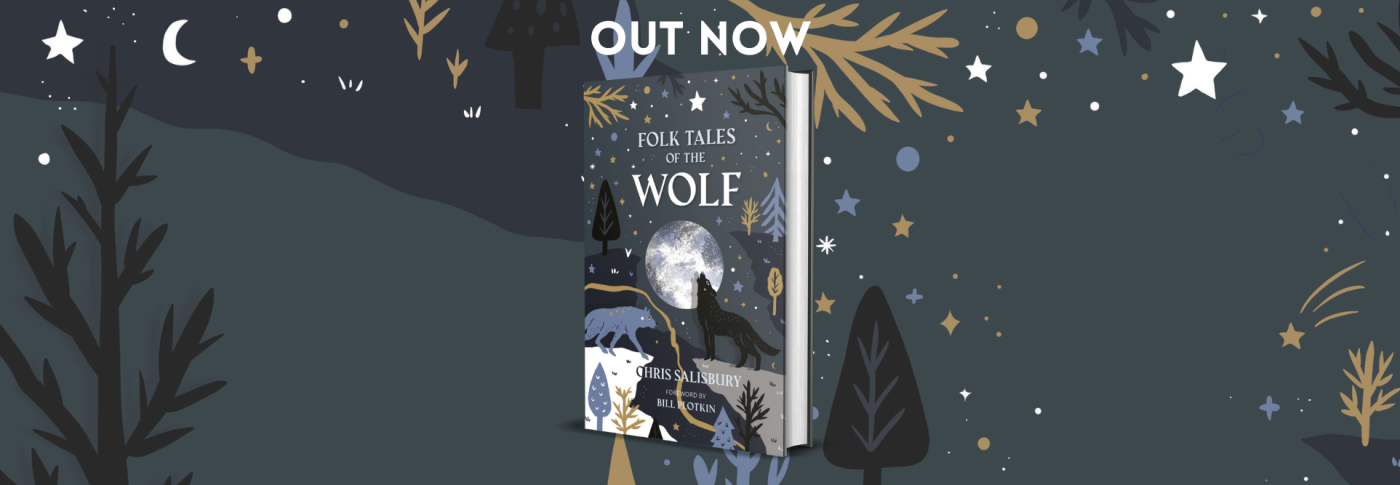 Book with grey and starry background