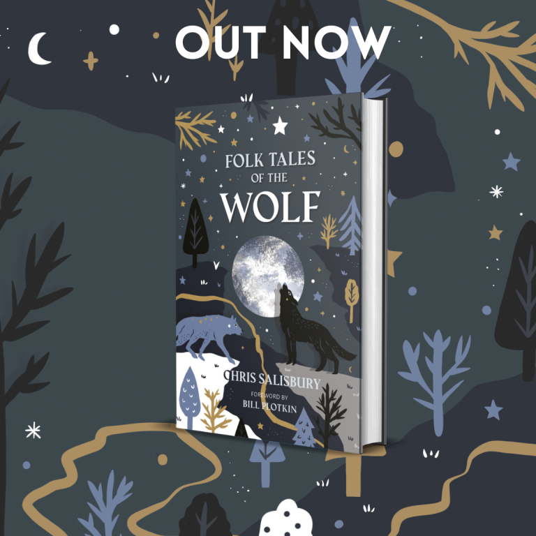 Book with grey and starry background